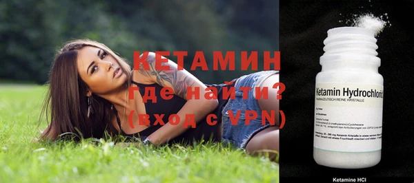 индика Нягань