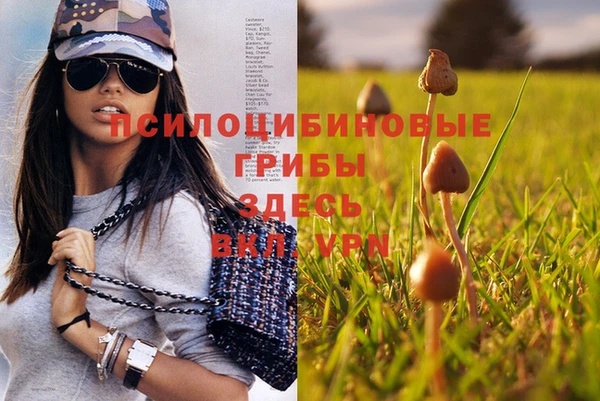 спиды Няндома