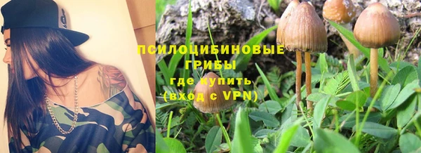 ешки Алзамай