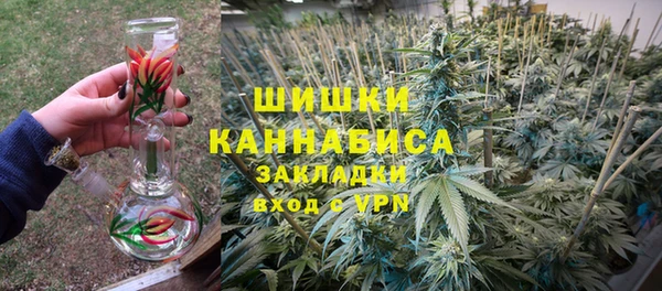 ешки Алзамай