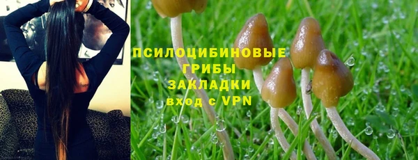 ешки Алзамай