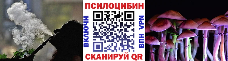 Галлюциногенные грибы мухоморы  МЕГА зеркало  Петровск  наркошоп 