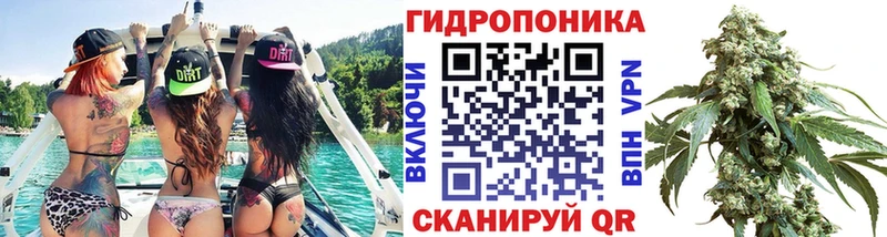Шишки марихуана White Widow Петровск